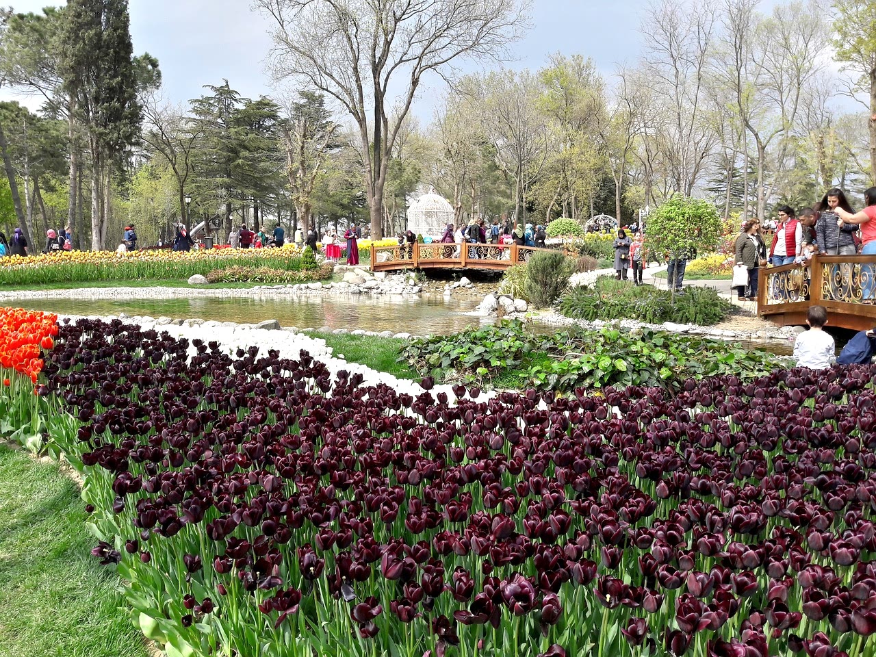 Turkey Thab Travel Embracing the Splendor of Turkey's Tulip Festival in 2024