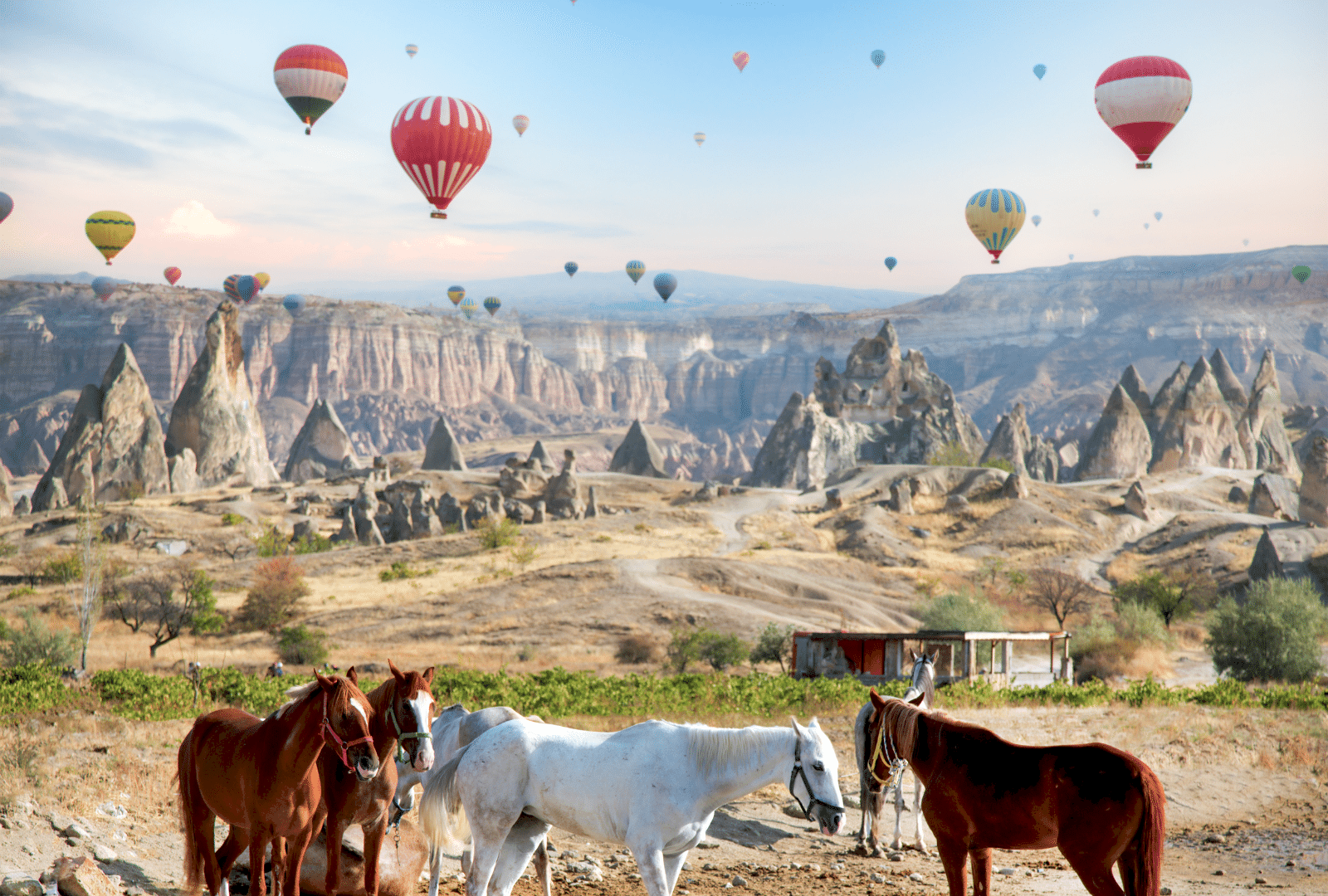 Turkey Thab Travel Unveiling the Subterranean Marvels of Cappadocia: Exploring Underground Cities and Churches